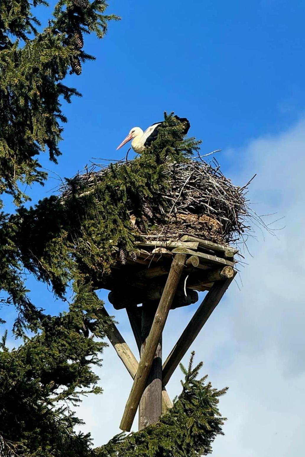 Stara Szkolas7 Noclegi,Mzajezierze 8 14-330 Mazury Maldyty ภายนอก รูปภาพ